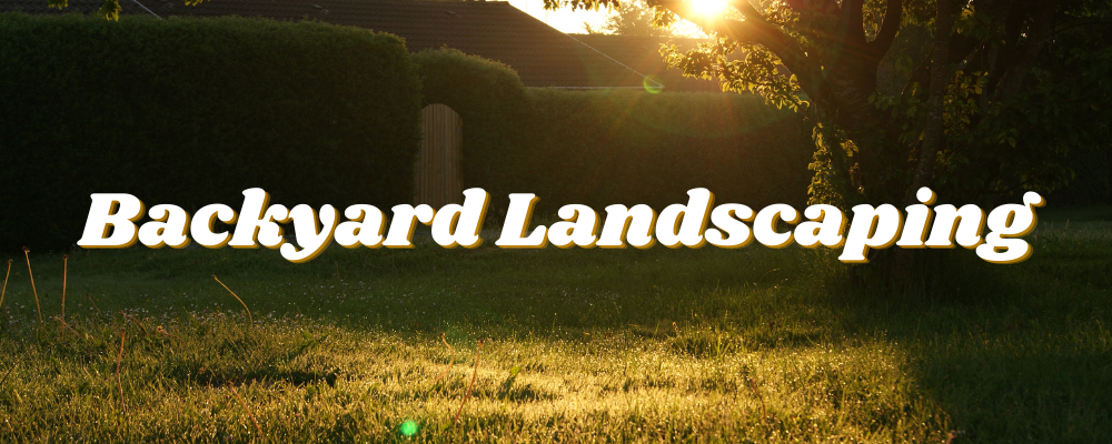 Backyard Landscaping